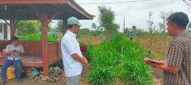Dinas Kelautan dan Perikanan Cek Lokasi Integrated Farming Kalurahan Gading untuk Program Perikanan 